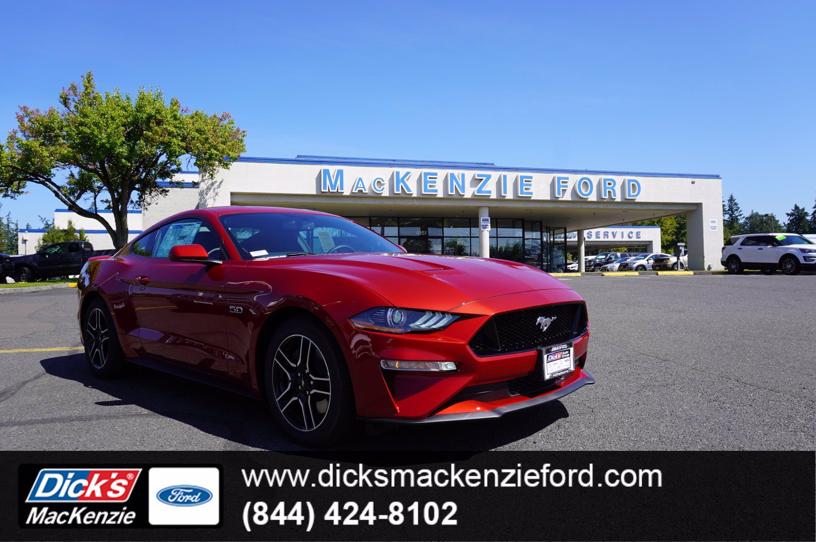 New 2020 Ford Mustang GT FASTBACK RWD 2dr Car