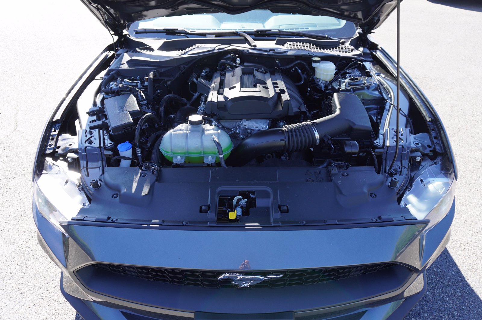New 2020 Ford Mustang ECOBOOST FASTBACK RWD 2dr Car